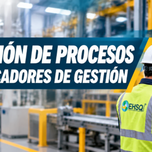 GESTION DE PROCESOS E INDICADORES DE GESTION