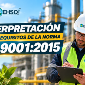 INTERPRETACION DE LOS REQUISITOS DE LA NORMA ISO 9001.2015